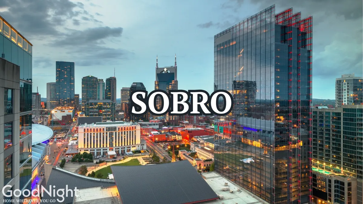 A stunning nighttime cityscape showcasing the illuminated Nashville skyline and prominent buildings, reflecting the city's dynamic nightlife and entertainment opportunities.